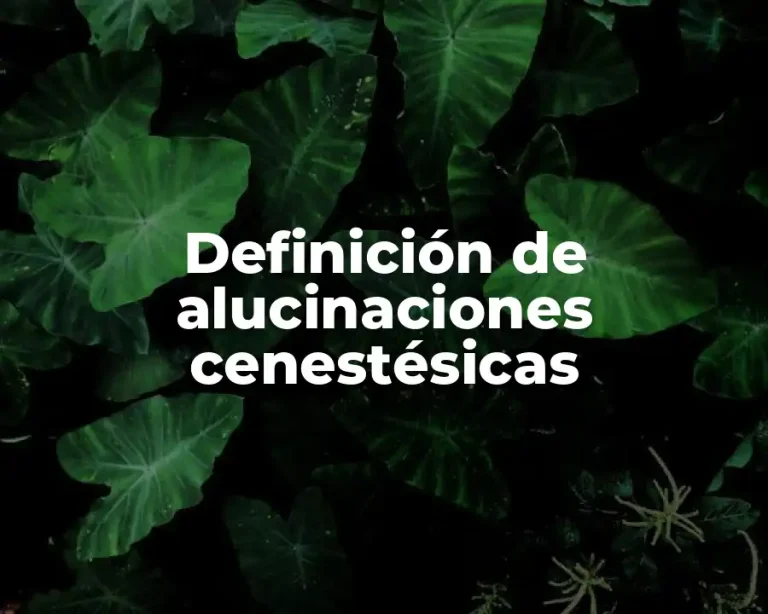 Definición de alucinaciones cenestésicas