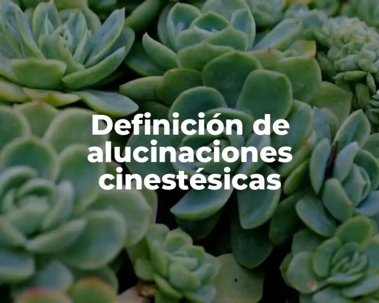 Definición de alucinaciones cinestésicas