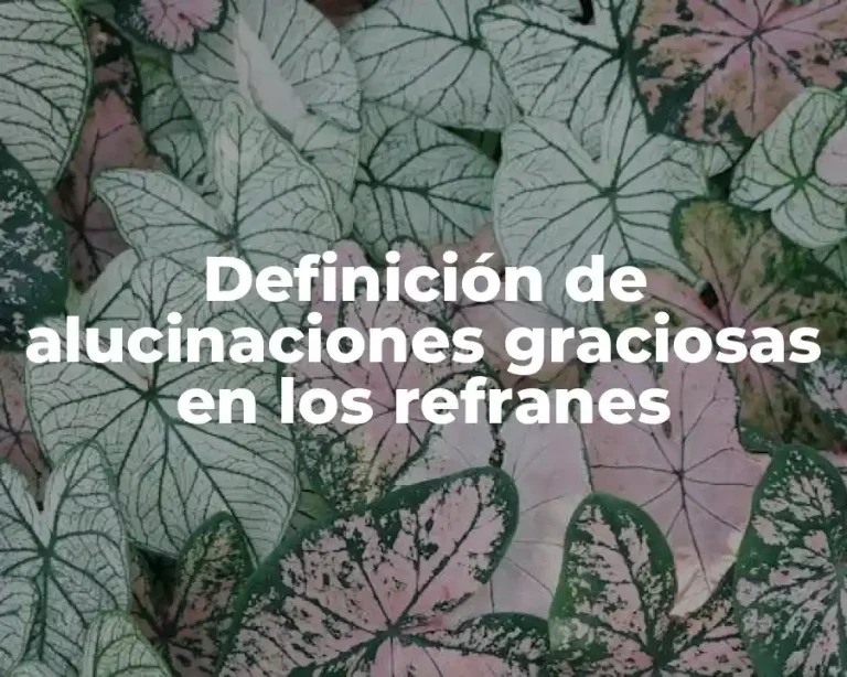 Definición de alucinaciones graciosas en los refranes