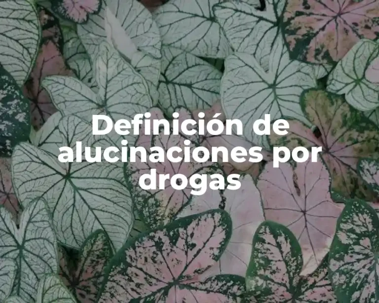 Definición de alucinaciones por drogas