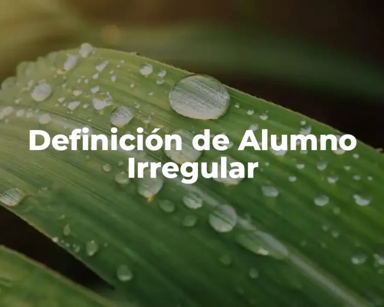 Definición de Alumno Irregular
