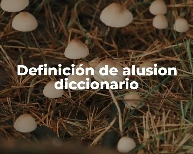 Definición de alusion diccionario