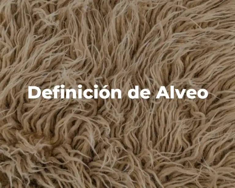 Definición de Alveo