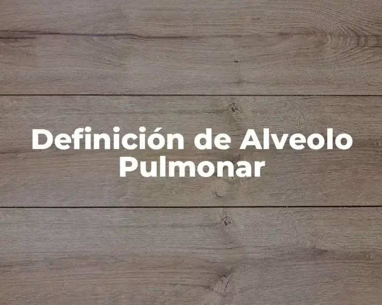 Definición de Alveolo Pulmonar