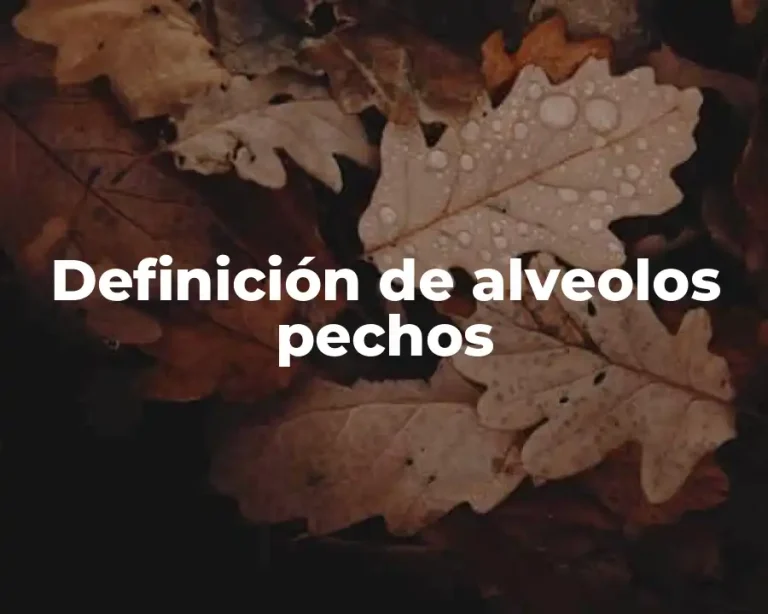 Definición de alveolos pechos