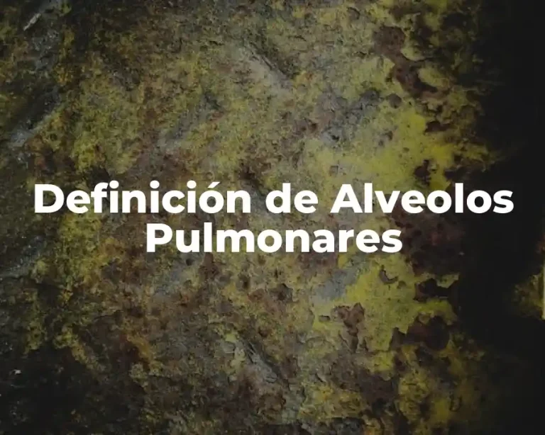 Definición de Alveolos Pulmonares