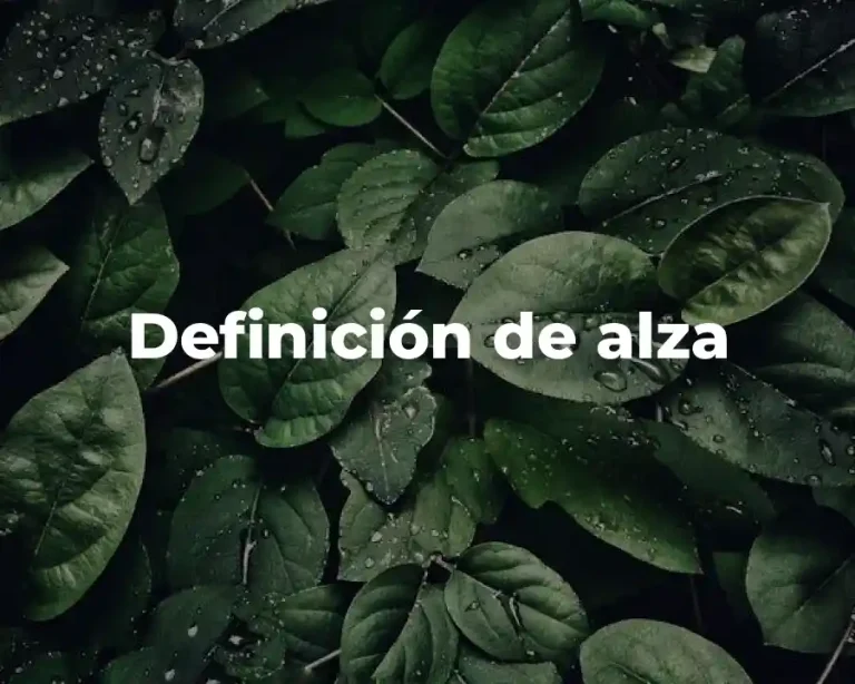 Definición de alza
