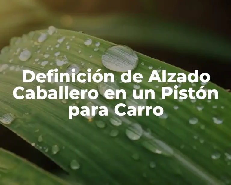 Definición de Alzado Caballero en un Pistón para Carro