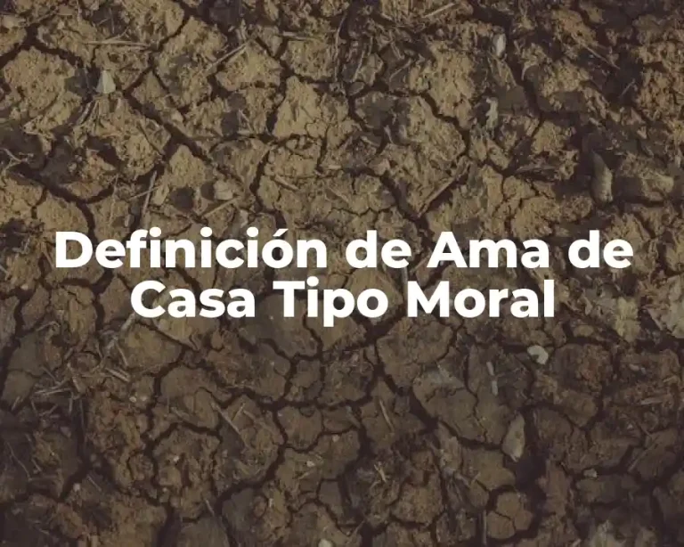 Definición de Ama de Casa Tipo Moral