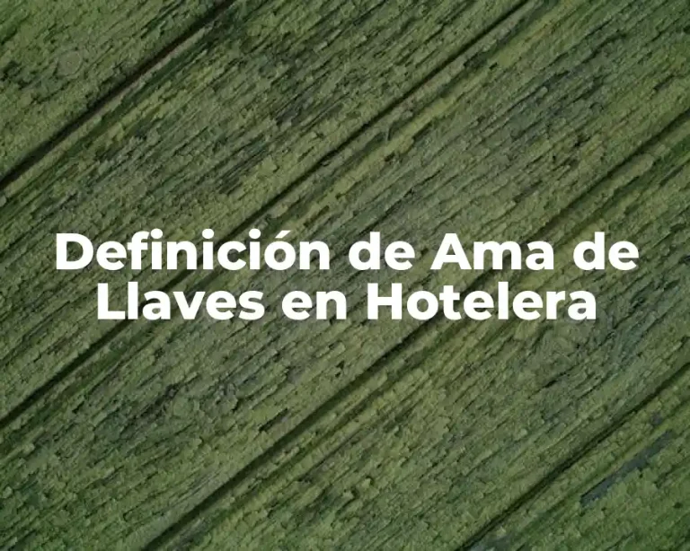 Definición de Ama de Llaves en Hotelera