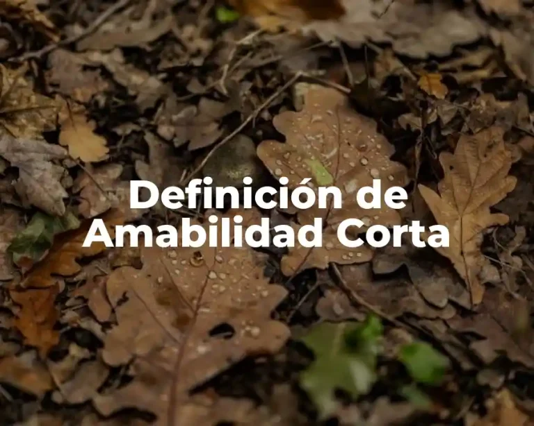 Definición de Amabilidad Corta