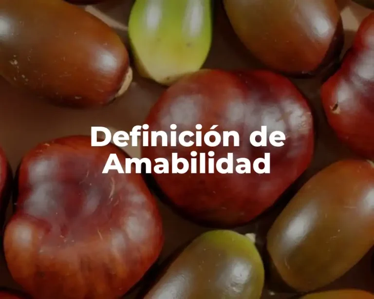Definición de Amabilidad