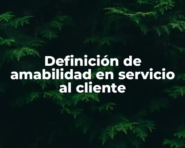 Definición de amabilidad en servicio al cliente