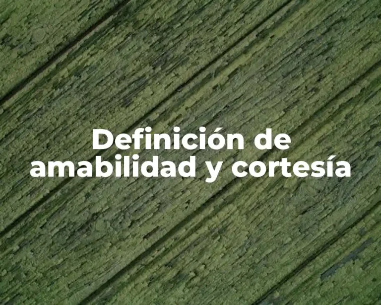 Definición de amabilidad y cortesía