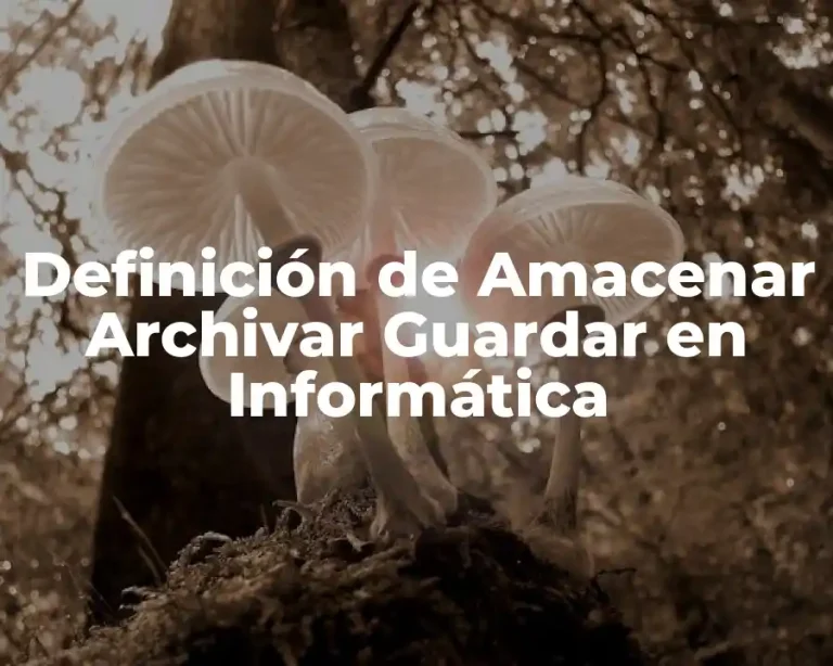 Definición de Amacenar Archivar Guardar en Informática