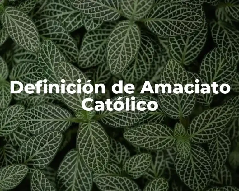 Definición de Amaciato Católico