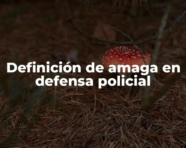 Definición de amaga en defensa policial