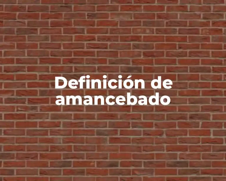 Definición de amancebado