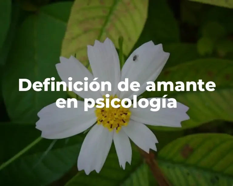 Definición de amante en psicología