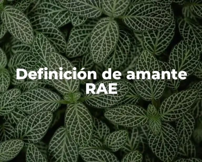 Definición de amante RAE