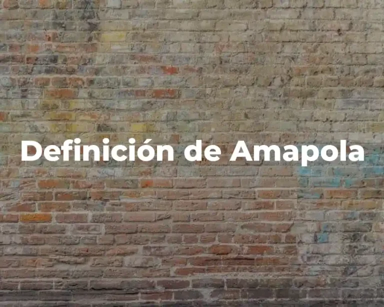 Definición de Amapola