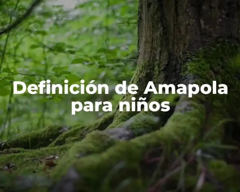 Definición de Amapola para niños