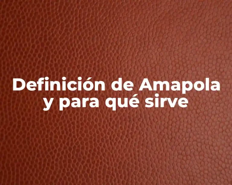 Definición de Amapola y para qué sirve
