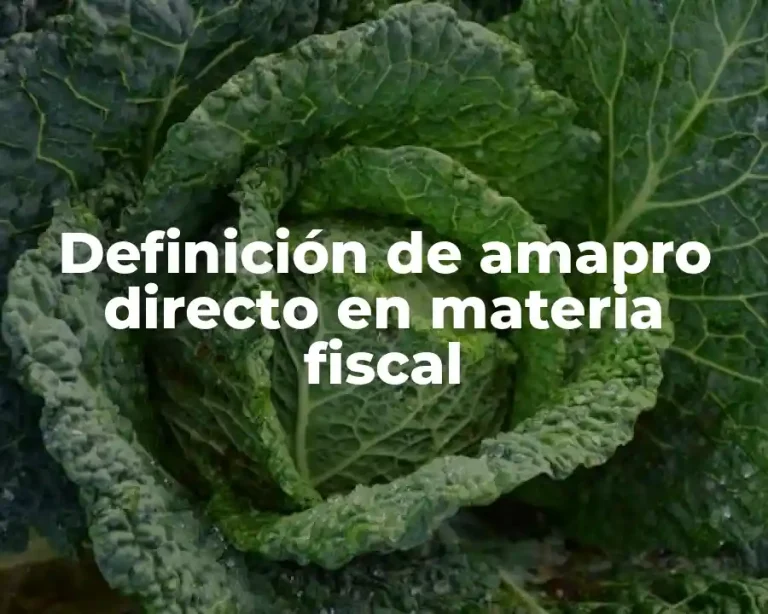 Definición de amapro directo en materia fiscal