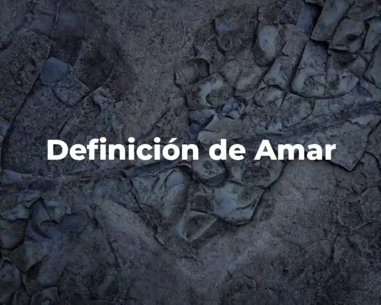 Definición de Amar