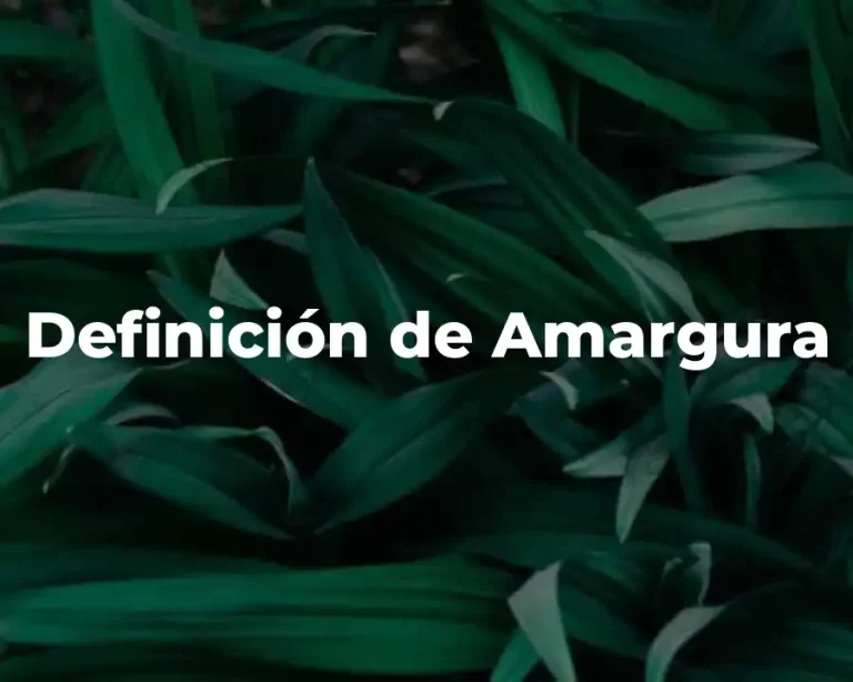 Definición de Amargura