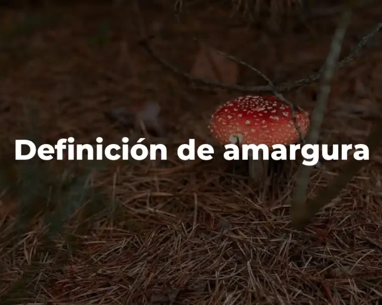 Definición de amargura
