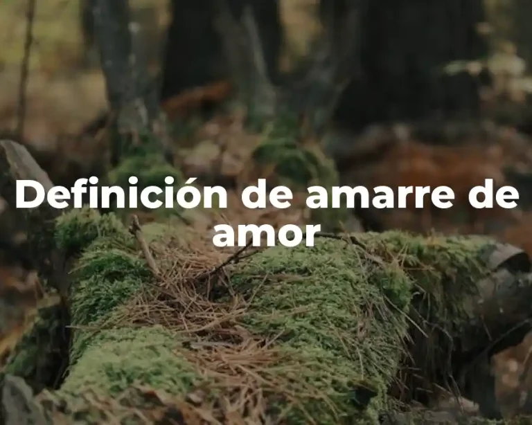 Definición de amarre de amor