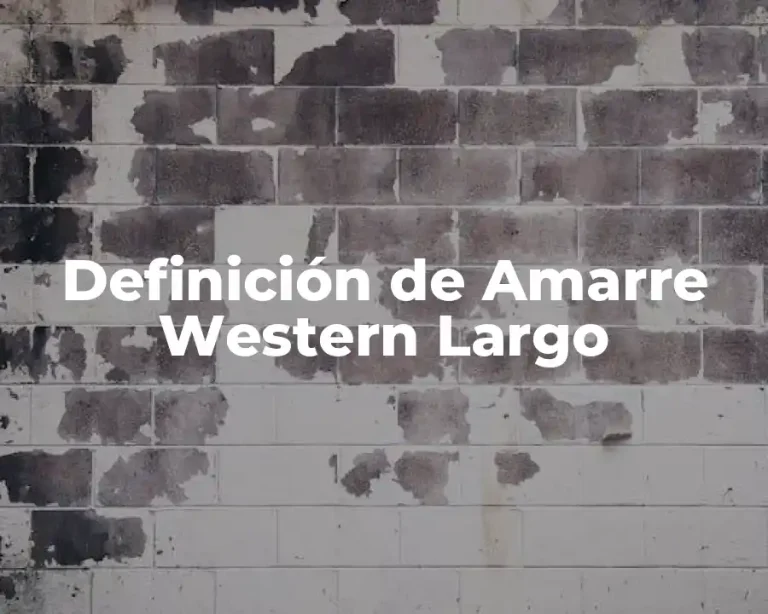 Definición de Amarre Western Largo