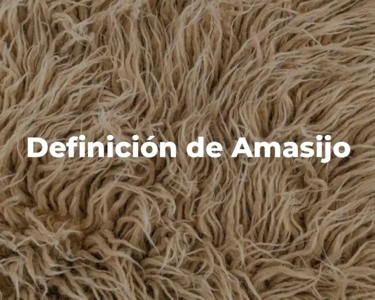 Definición de Amasijo