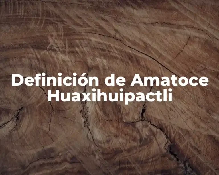 Definición de Amatoce Huaxihuipactli