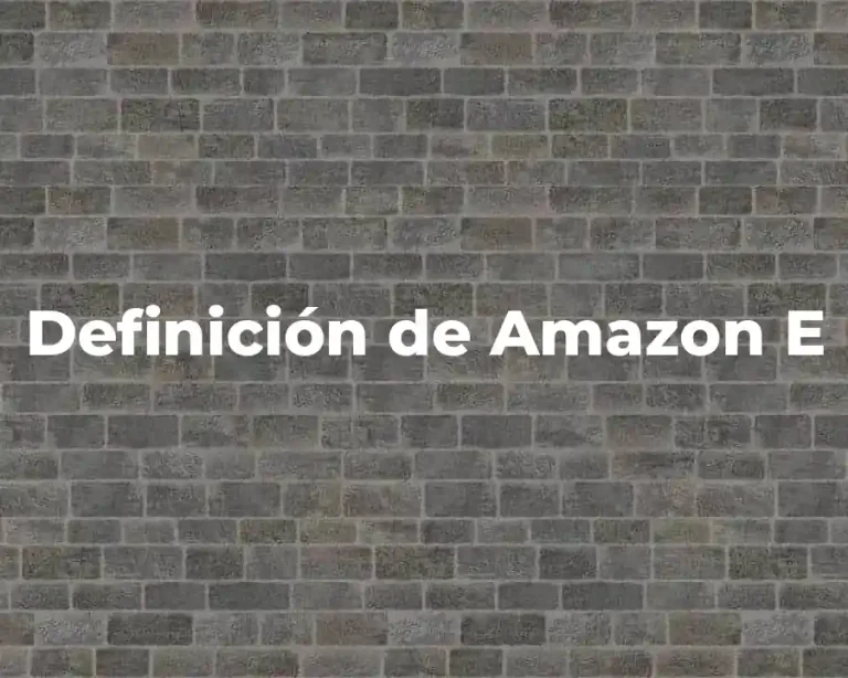 Definición de Amazon E