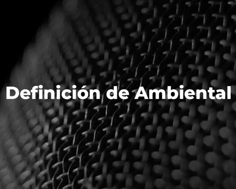 Definición de Ambiental