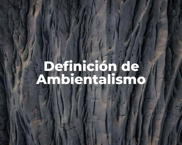 Definición de Ambientalismo