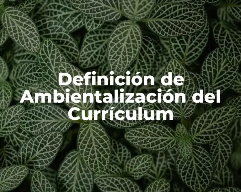 Definición de Ambientalización del Currículum