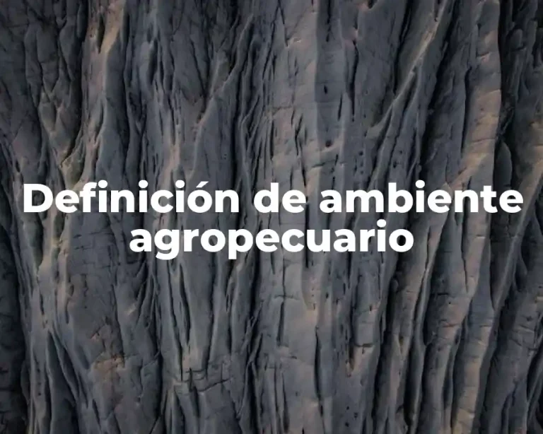 Definición de ambiente agropecuario