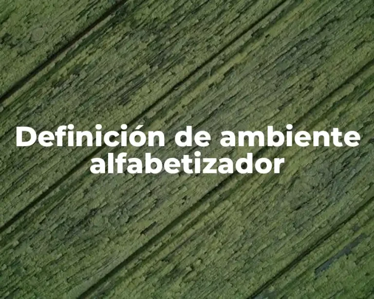 Definición de ambiente alfabetizador