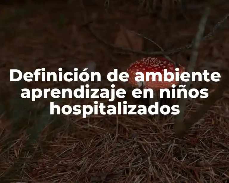 Definición de ambiente aprendizaje en niños hospitalizados
