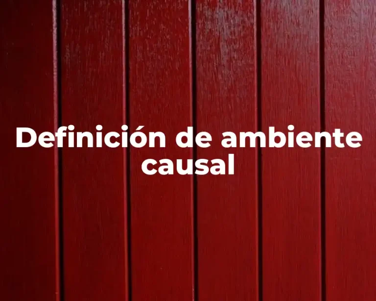 Definición de ambiente causal