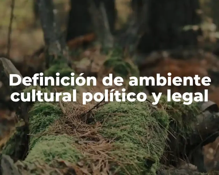 Definición de ambiente cultural político y legal