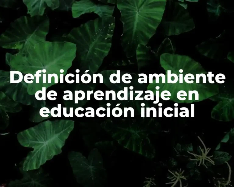 Definición de ambiente de aprendizaje en educación inicial