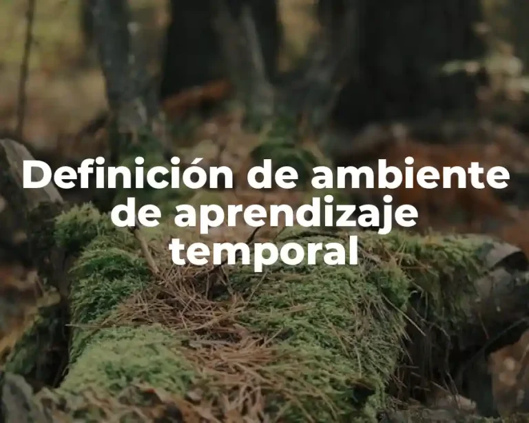 Definición de ambiente de aprendizaje temporal