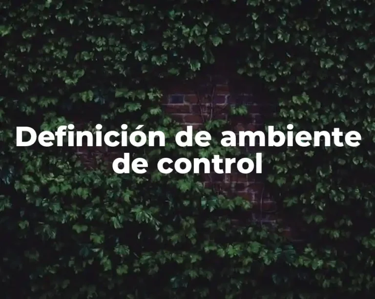 Definición de ambiente de control