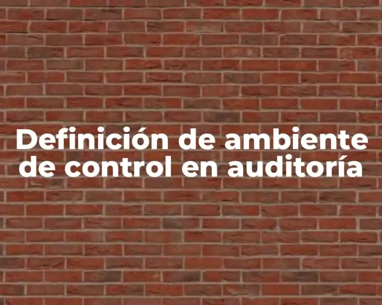 Definición de ambiente de control en auditoría