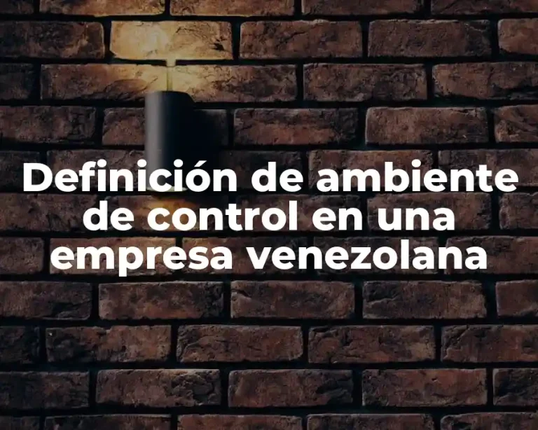 Definición de ambiente de control en una empresa venezolana