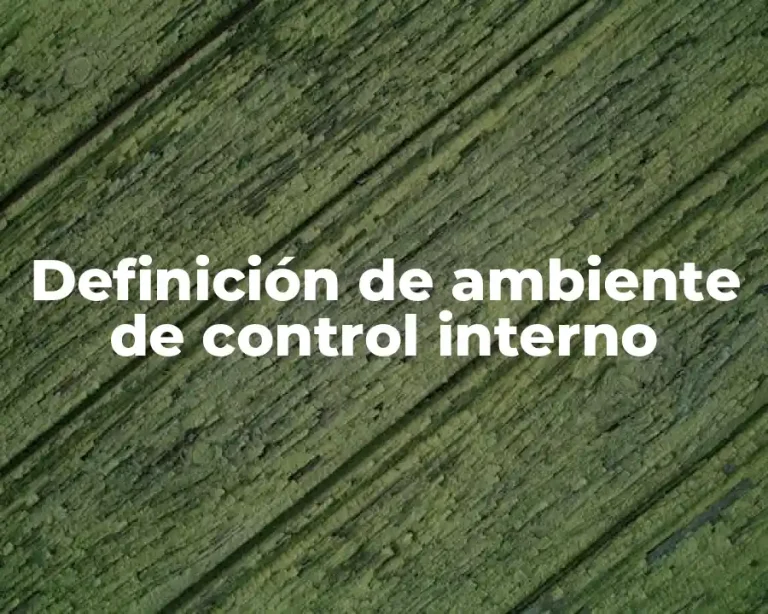 Definición de ambiente de control interno